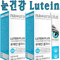 온가족 종합눈건강 대용량 루테인 마리골드꽃추출물 비타민A 비타민E 비타민B6 비타민B12 뉴테인 아연 엽산망간 구리 류테인 30캡슐 2박스, 3개(180캡슐/6개월분), 60캡슐