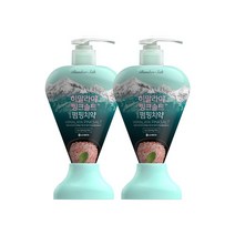 죽염 히말라야 핑크솔트 펌핑치약 아이스카밍민트, 285g, 2개