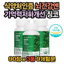 은행잎효능 머리아플때 기억력좋아지는법 뇌영양제 뇌 뇌에좋은영양제 플라보노이드효과 플라보노이드효능 포스파티딜세린 은행잎추출 집중력영양제 뇌건강 은행잎효과 뇌혈관영양제