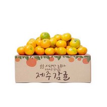 제주 감귤 맛좋은 제철과일, 1box, 4.5kg 중대과
