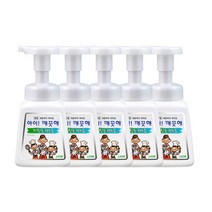 아이깨끗해 손세정제 키친 250ml 용기, 5개