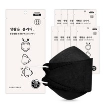 올림생활보건용마스크(KF94) 대형, 10개, 블랙, 5매입
