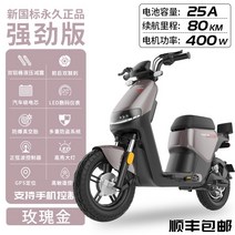 전동 스쿠터 48V 60A 200km 주행배터리 전기바이크, 파워 에디션/골드/25A 80km
