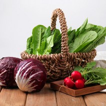딜 가락시장 (1kg)