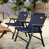 아베나키 아베나키 솔리드 폴딩체어, 브라운, 1개