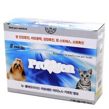 진돗개 장건강 유산균 애견 장영양제 노령견 푸들 장운동 묽은똥 시츄 장기능 변냄새 면역력
