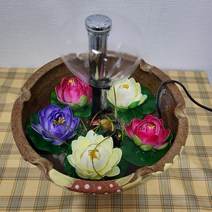 미니연꽃 (희귀식물) 씨앗 수반세트, 그외지역, 씨앗10립, 1개