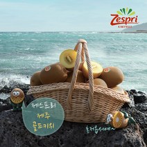 [더단프레시]제주 골드키위 제스프리, 1.제주 골드키위 대 10과 개당 약 110g