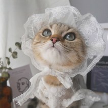 애완 동물 레이스 양산 모자 고양이 개 옷 후드 귀여운 강아지 선스크린 조명 액세서리, 01 hat_02 M
