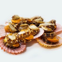 세종수산 알이꽉찬 비단가리비 1kg, 1개, 3kg