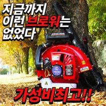 엔진 송풍 낙엽 청소기 블로워 제설 벌초 에어 아파트관리소용, 엔진 송풍기
