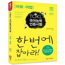 TOKL 국어능력인증시험 어휘 어법 한번에 잡아라(2017):이론+예시+확인문제 단계별 학습 가능, 시대고시기획