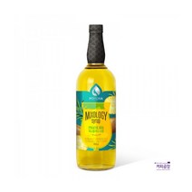 포모나 믹솔로지 피나콜라다 시럽 1000ml, 단품, 단품