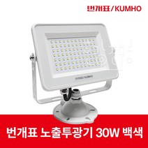 금호전기 번개표 LED 투광기 투광등 30W IP65, 주광색(흰색빛), 금호엘바투광기30W