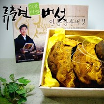국산 혈관 면역력에 좋은 상황버섯 차 500g (진상품), 1개