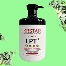 상한머리복구 PPT원액 LPP 단백질트리트먼트 헤어단백질팩 LPT트리트먼트 1000ml, 1개