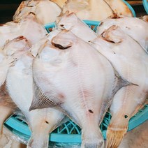 속초중앙시장 가자미 반건조 임연수 열기 민어 코다리 삼치 볼락 생선구이 생선조림, 32cm내외