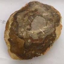 수석 천연석천연 나무 화석 돌 표본 조각, 02 300-350g