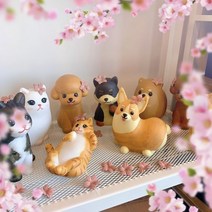 DIY 멍냥이 컬러링 키트-라돈, 14.코숏
