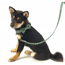 강아지 고양이 당초리본 목걸이 반려동물 악세사리 훈련 산책 교육용, 레드, 리드줄, free