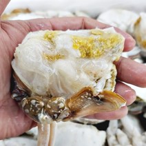 연평도꽃게 숫꽃게 냉동절단꽃게 집게발 없는 프몽 1kg