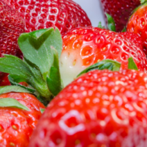 허브애향 스트로베리 (프리미엄) 프레그런스오일, 스트로베리 (딸기향)1L