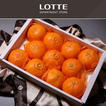 (롯데백화점)(롯데백화점)제주 레드향 선물세트 4.5kg 중과 16-23과내외
