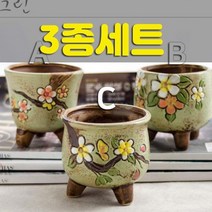 다육맘 수제화분 바람꽃, 그린