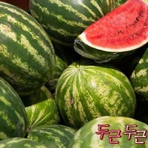 특등급 가락청과네 수박 6kg 제철과일 과일종류 수박가격 수박화채 농산물도매시장 중복 당뇨에좋은과일, 단품