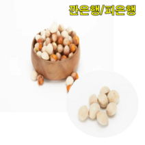 전북순창 깐은행 피은행 500g 1kg 은행열매 은행효능 은행알 은행간식 햇은행, 깐은행 500g 대