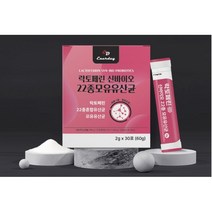 식약처 수입통관필 인증 장용성 락토페린 유산균 다이어트 뱃살 코팅 분말 가루 스틱 락토패린 농축물 식약청 프리 프로 바이오틱스 모유 유래 프롤린 여성 남성 온가족 대용량 추천, 60포(2개월) x 2개