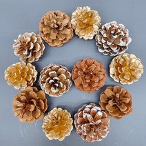 늘솜아뜰리에 솔방울 대 12P 오너먼트 크리스마스 장식 사진 촬영 인테리어 소품, 4.내추럴+화이트=12P