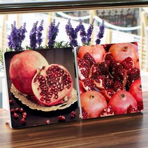 데코밍샵폼아크릴액자18CmX18CmX2ea_번창과다산의상징석류_노프레임액자_af267