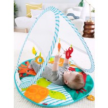 피셔프라이스 접이식 아기 체육관