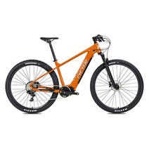 배달 mtb 접이식 트위터 공장 직접 판매 EM5 10S36V250W 알루미늄 합금 전기 보조 산악 자전거 Bafang 중앙, 02 주황색, 01 10S-M410 36V-13A250W