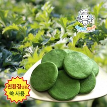 [엔젤쿡] 웰빙 거문도 해풍쑥 쑥개떡 쑥송편 티백 분말 추출액 쑥차, M0101_거문도 해풍쑥 생쑥개떡 1kg, 1세트, 1개