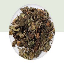 국산 유기농 말린 삼백초 삼백초차 삼백초잎 약초차 200g, 유기농 삼백초 200g