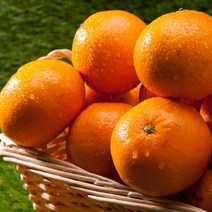 팜쿡 [팜쿡] 제주직송 타이백감귤 4.5kg(2S-M로얄소과(랜덤))