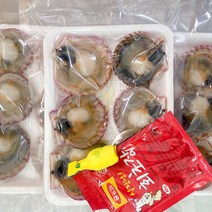 제철 통영 가리비 소라 전복회 개불 깐멍게 해산물외, 1개, 홍가리비하프셀3팩