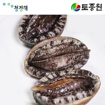 토종원 양식전복 5년산 (1kg 08~09미) 청정 제주도