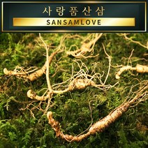 사랑품산삼 산양산삼 산양삼 장뇌삼 8-20년근 자연산 모양 산삼사랑, 06번_산양삼 13년근 2뿌리