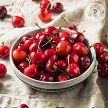 [홍천철원] 워싱턴 프리미엄 빙 체리 900g 9.5 row 2개 구매시 200g추가, 없음