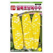 팜스마켓 옥수수씨앗 100립 얼룩초당옥수수 종자, 1.얼룩초당옥수수 100립