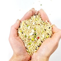 집밥 저당지수 27곡 4kg 5kg. 10kg 20kg 혼합잡곡 식단 진공포장, 2개