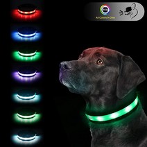 Yacig라이트 업 개 목걸이 안전 LED 개 목걸이 USB 충전식 7가지 색상 변경 어둠 속에서 빛나는 개 산책 조명 네온 조절 가능한 안전 버클 조명 개 목걸이 소형/중형