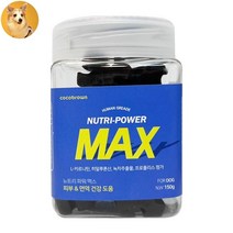 말티즈 피부관리 면역강화 종합 양양제
