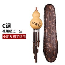 호이스트 악기 전문 연주형 C튜닝 B초등학생 어린이 어른 낮추기-181597, 옵션02, 단일옵션