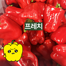 프레치 국내산 아삭하고 싱싱한 홍피망, 10kg (보통), 1개