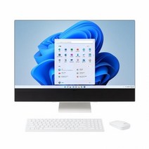 LG전자 27V70Q-GA70K (WIN11홈 / 12세대) 일체형PC + SSD 2TB 추가