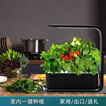 야채 상추 새싹 재배기 식물키우기 수경재배기, 기타 흰색 6홀 스마트 화분영국 사양  중형